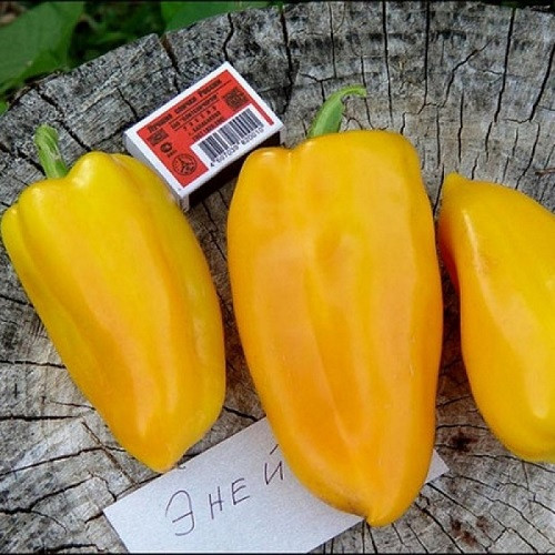 Насіння перцю солодкого Еней (0.25г)
