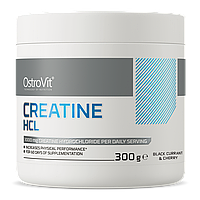 Креатин Creatine HCL OstroVit 300 г