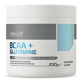 BCAA + Glutamine OstroVit 200 г Полуниця - Чорниця