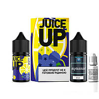 Набор для самозамеса солевой Fucked Juice Up Salt 30 мл, 0-50 мг Blueberry Lemon (Черника Лимон)-LVR