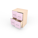 Секція НУШ-1/600х450х770, фото 2