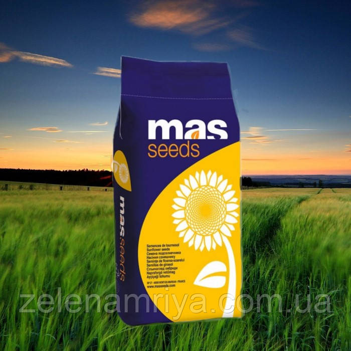 Насіння соняшнику MAS 98.K ( Класичний)