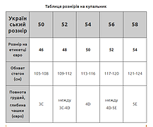 Жіночий купальник Sisianna 98249 чорний на 50 52 54 56 58 розмір, фото 4
