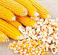 Кукуруза поп-корн 1 кг