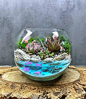 Флорариум с суккулентами и имитацией водоема "Любовь"-15 см.