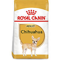 Сухой полнорационный корм для взрослых собак породы чихуахуа Royal Canin Chihuahua Adult возрасте от 8 месяцев