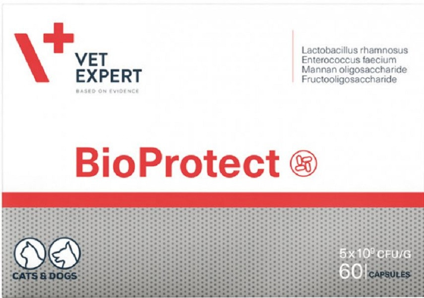 Харчова добавка для котів і собак із порушеною шлунково-кишковою мікрофлорою VetExpert BioProtect 60 капсул