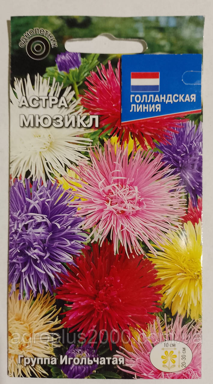 Насіння Астра голчаста Мюзікл 0,2 грама