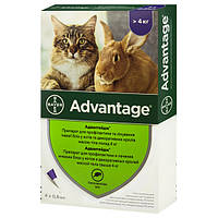 Капли от блох Bayer Advantage 80 для котов свыше 4 кг 0,8 мл (4007221046394)