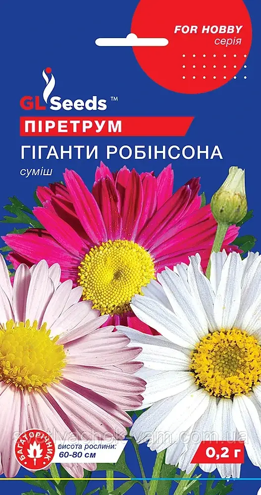 Піретрум Гігант Робінсона багаторічник з яскравими великими ромашкуватими квітками, упаковка 0,1 г
