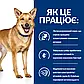Консерви, вологий корм для дорослих собак i/d Digestive Care догляд за травленням, з індичкою 360г, фото 3