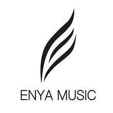 Поступлення гітар Enya на склад