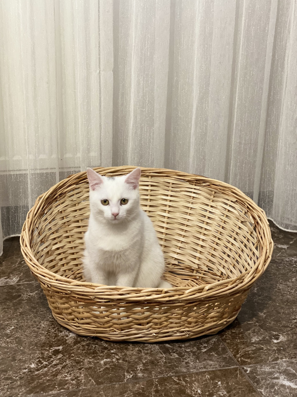 Будинок-лежак для домашніх улюбленців. Арт: 25010, фото 1