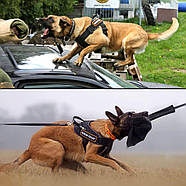 Dingo Gear Шлейка робоча для собак великих порід універсальна L 75-90 см чорний, фото 3