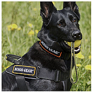 Dingo Gear Шлейка робоча для собак великих порід універсальна L 75-90 см чорний, фото 2
