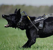 Dingo Gear Шлейка робоча для собак великих порід універсальна L 75-90 см чорний, фото 4