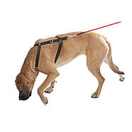 Dingo Gear Трекінгова слідова шлейка Weda, фото 5