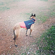 Захисний текстильний жилет для собак Dog Armour PRO K2 anti-bite vest помаранчевий M 48-52см (DOVT2), фото 4