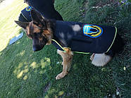 Захисний текстильний жилет для собак Dog Armour PRO K2 anti-bite vest помаранчевий M 48-52см (DOVT2), фото 5