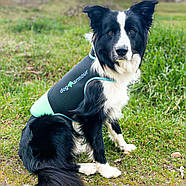 Захисний текстильний жилет для собак Dog Armour PRO K2 anti-bite vest помаранчевий M 48-52см (DOVT2), фото 7