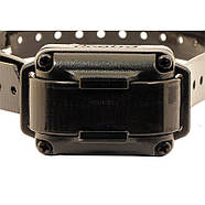 Електронашийник Dogtra IQ Plus, фото 6