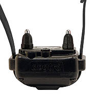 Електронашийник Dogtra IQ Plus, фото 8