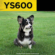 Нашийник антилай Dogtra YS 600, фото 5