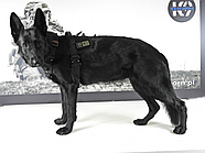 K9 THORN Шлейка тактична Delta L Чорний L, фото 4