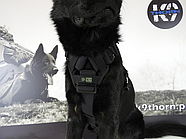 K9 THORN Шлейка тактична Delta L Чорний L, фото 5
