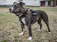 K9 THORN Шлейка тактична Delta L Чорний L, фото 7