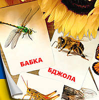 Карточки Домана Насекомые на украинском языке, в наборе 16 карточек
