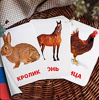 Карточки Домана Домашние животные на русском языке, в наборе 15 карточек