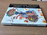 Книга Ендокринна система, спорт і рухова активність б/у, фото 4