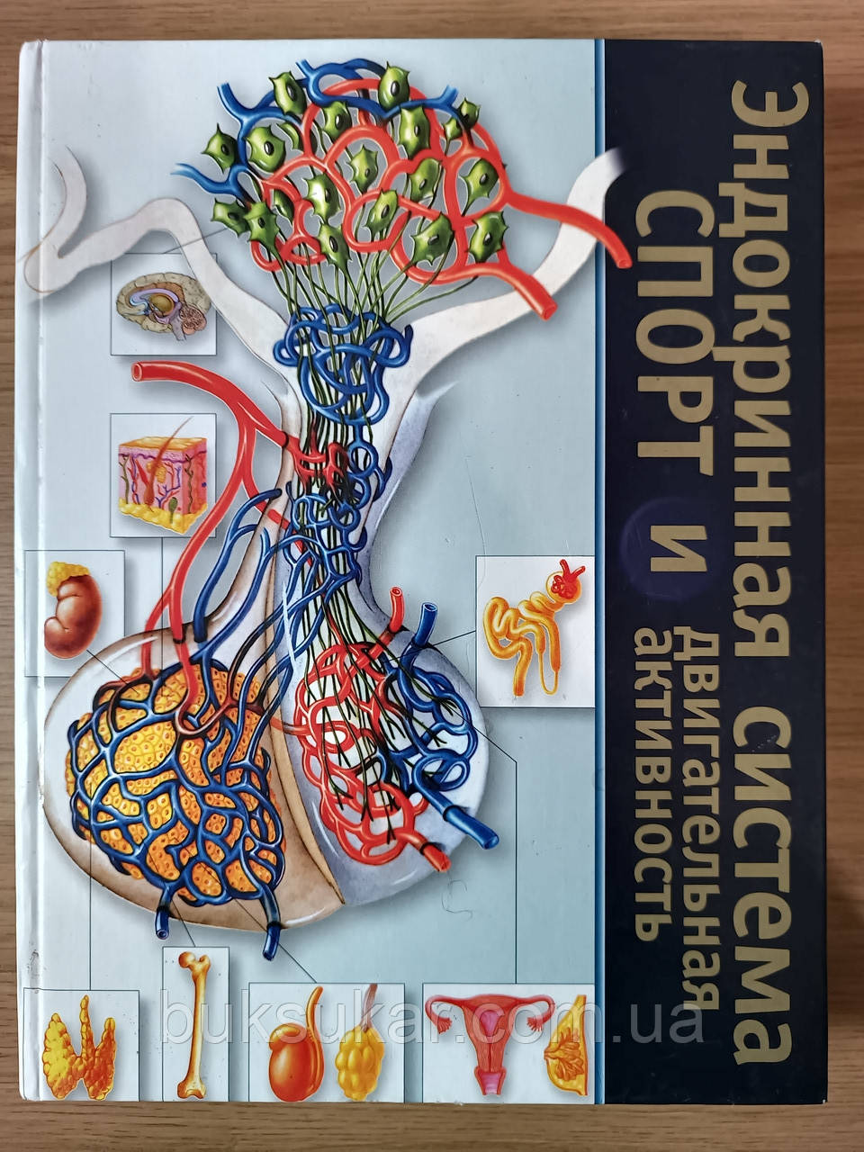 Книга Ендокринна система, спорт і рухова активність б/у