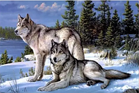 WMB Искусство Природного Единства Алмазная Мозаика 'Волк и Волчица' (50x40 см)