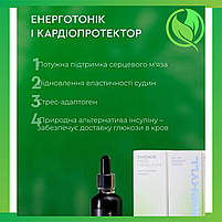 Хлорофіл рідкий концентрований Choice PRO HEALTHY, фото 4