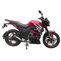 Мотоцикл легкий дорожній SPARK SP250R-33 бензиновий чотиритактний двомісний 250 кубів 110 км/год, фото 3