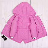 Демісезонна дитяча курточка парка 104-110 110-116 116-122 122-128 128-134 з капюшоном та манжетами у рукавах Весна Осінь, фото 2
