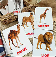 Карточки Домана Животные Африки на английском языке, в наборе 16 карточек