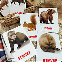 Карточки Домана Животные наших лесов на английском языке, в наборе 16 карточек