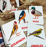 Карточки Домана Птицы наших лесов на английском языке, в наборе 16 карточек