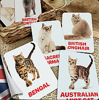 Карточки Домана Породы кошек на английском языке, в наборе 32 карточек