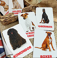Карточки Домана Породы собак на английском языке, в наборе 32 карточек