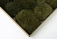 Стабилизированный мох - Кочка - Medium Green - 0,15 м2 - Organic Design