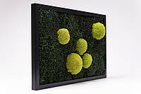 Картина из мха - 60x40 см - Плоский мох и Кочка - 808 - Organic Design
