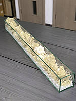 Моссариум - 100х10х10 см - Стабилизированный мох и растения - Organic Design