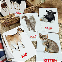 Карточки Домана Домашние животные и их детеныши на английском языке, в наборе 16 карточек