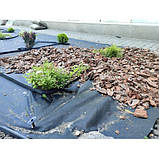 Агроволокно 50 щільність 1,6*25 м. чорне для мульчування "ЕASY-CARRY ROLLS" "Agreen", фото 4