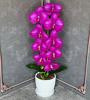 Композиция из Латексных орхидей Премиум качества на Одну веточку в Керамическом горшочке