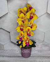 Композиция из латексных орхидей Премиум класса на одну веточку в пластиковом горшочке
